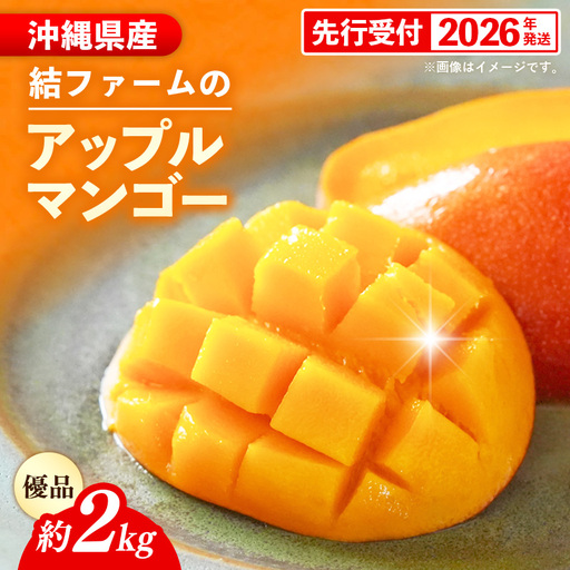 【化粧箱入り】【先行受付・2026年発送】結ファーム 優品 アップルマンゴー 約2kg （4～8玉）- 産地直送 先行予約 沖縄県産 贈り物 ギフト 南国フルーツ 旬の味覚 オススメ 沖縄県 八重瀬町