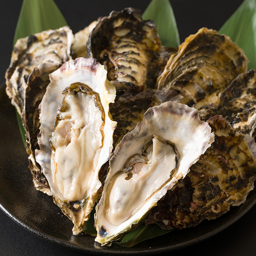 殻付き牡蠣(生食用)冷凍 2kg 生牡蠣 宮城県産 牡蛎 牡蠣 カキ かき 生食 オイスター カキフライ 牡蠣鍋 海鮮 国産 魚貝類 バーベキュー BBQ [カタクチ商店株式会社]sh183