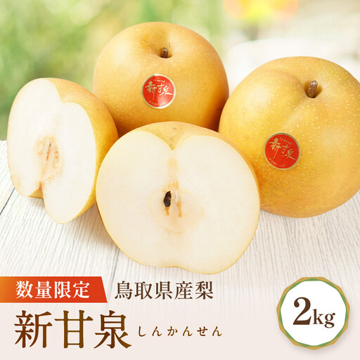  新甘泉 約2kg 先行予約 数量限定 鳥取県産 梨 梨