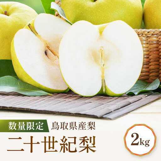 先行予約 数量限定 鳥取県産 二十世紀梨 約2kg 二十世紀梨