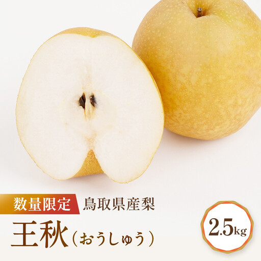 先行予約 数量限定 鳥取県産梨 王秋 約2.5kg 王秋