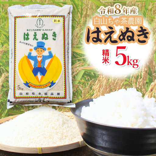 [令和8年産先行予約]白山ちゃ茶農園のはえぬき 精米5kg(5kg×1袋) K-835 山形県鶴岡市 | 5キロ はえぬき 白米 精米 米 お米 おこめ コメ こめ 食品 ご飯 ごはん おいしい 山形県 鶴岡市 東北 国産 返礼品