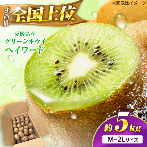 キウイフルーツ グリーンキウイ ご家庭用 M-2Lサイズ 約5kg 【1月上旬から3月下旬まで順次発送】 / フルーツ 果物 キウイ キューイ キゥイ キュウイ グリーン 甘い 先行予約 愛媛 おすすめ / 愛媛県砥部町/株式会社フジ・アグリフーズ[BJBI020]