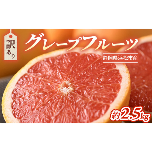 【2027年4月上旬より順次発送】【訳あり】静岡県浜松市産グレープフルーツ 約2.5kg（5～12個） 果物 くだもの フルーツ 果物類 柑橘類 旬のフルーツ 季節の果物 静岡 浜松市