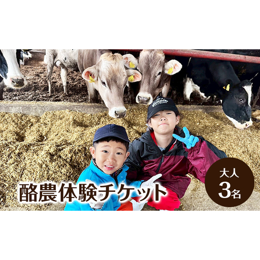 酪農体験チケット 大人3名 【 体験チケット 酪農 北海道 幕別町 牛 搾乳 牧場 自然 】
