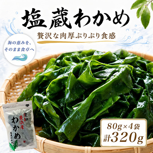 [2027年先行予約3月発送] 塩蔵わかめ 計320g 4袋 1袋80g チャック入 お味噌汁 和物 ごはん 丼 サラダ 海藻 料理 愛知県 南知多町 ワカメ わかめ 海藻類 おすすめ おいしいワカメ お米 に合う 米 に合う コメ 水産 海の恵 塩蔵ワカメ 酢の物 水産加工 おこめ 味噌汁 知多半島 大人気 南知多産わかめ 愛知県産 南知多 の 人気