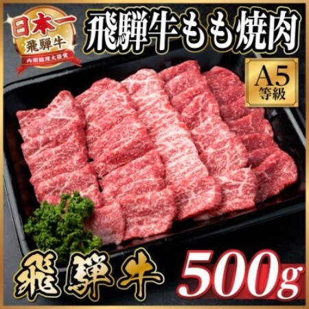 飛騨牛A5等級　もも焼肉　500g(焼肉・BBQ用)【配送不可地域：離島】【1754439】