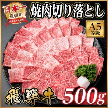 飛騨牛 A4～A5等級 焼肉切り落とし 500g(焼肉・BBQ用)【配送不可地域：離島】【1754447】