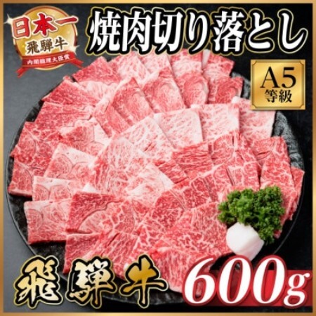 飛騨牛A4～A5等級　焼肉切り落とし　600g(焼肉・BBQ用)【配送不可地域：離島】【1754449】