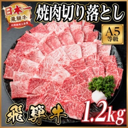 飛騨牛A4～A5等級 焼肉切り落とし 1.2kg_焼肉_【配送不可地域：離島】【1754692】