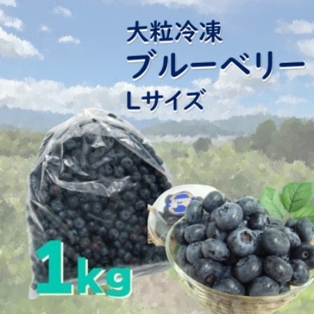 遠野で育った 大粒 冷凍 ブルーベリー Lサイズ 1kg【配送不可地域：離島】【1333274】