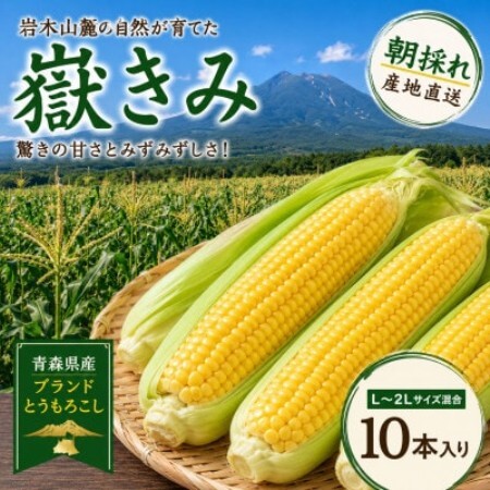 とうもろこし 朝採り 嶽きみ(だけきみ) 10本 L～2Lサイズ 冷蔵【配送不可地域：離島・沖縄県・九州】【1757166】