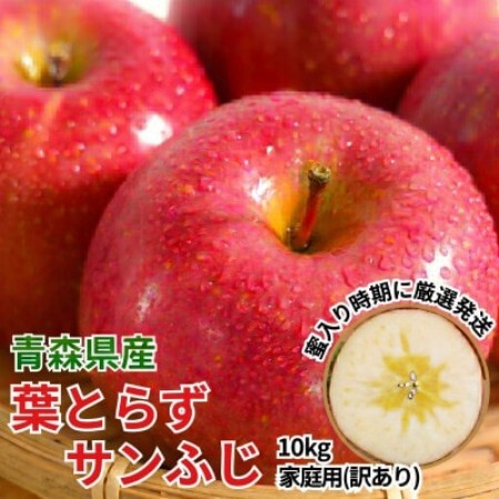 11-12月 蜜入り時期に厳選発送! 青森県産 りんご 訳あり 葉とらずサンふじ 家庭用 約10kg【配送不可地域：沖縄県】【1757319】
