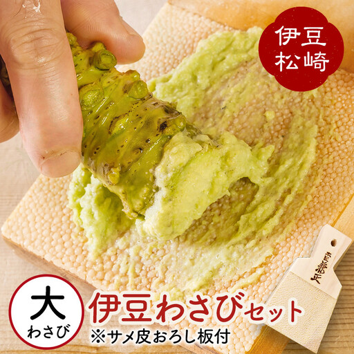 伊豆のわさびセットＥ　　　　ワサビ 本わさび わさび丼 刺身 お寿司 肉 そば 焼酎 ご飯 おにぎり 薬味 ギフト プレゼント 取り寄せ 御中元 お歳暮 産地直送 静岡県 松崎町 伊豆