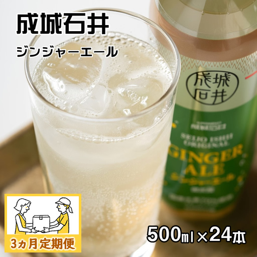 【3ヵ月定期便】成城石井 ジンジャーエール 500ml×24本