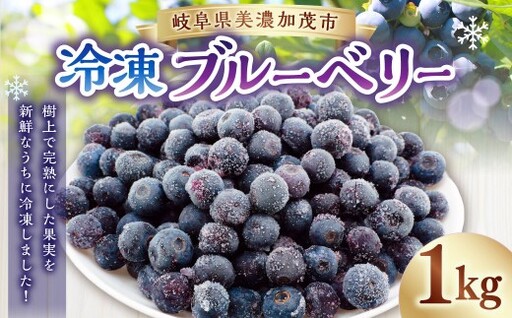 冷凍ブルーベリー 1kg 1個 完熟 ブルーベリー [2026年10月下旬までに発送予定]