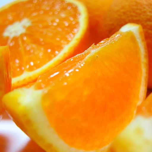 有田育ちの完熟清見オレンジ(ご家庭用)　1kg+200g(補償分)【2027年2月下旬～5月上旬頃に順次発送予定】【ard241】