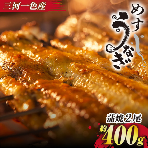 手焼き 三河一色産 めすうなぎ 蒲焼2尾(約400g)・A205