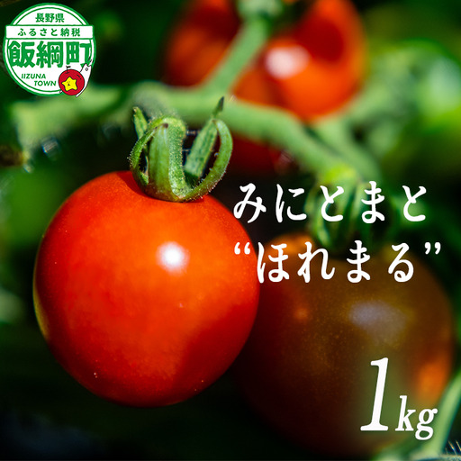 [ クール便 / 冷蔵便 ] [ NAO's FARM ] ミニトマト ほれまる 1kg 2026年8月上旬頃から2026年9月上旬頃まで順次発送予定 令和8年度収穫分沖縄県配送不可 株式会社みみずや 元サッカー日本代表 石川直宏 ほれまる 信州 野菜 甘い ミニトマト 産地直送 長野 予約 長野県 飯綱町 [2134]