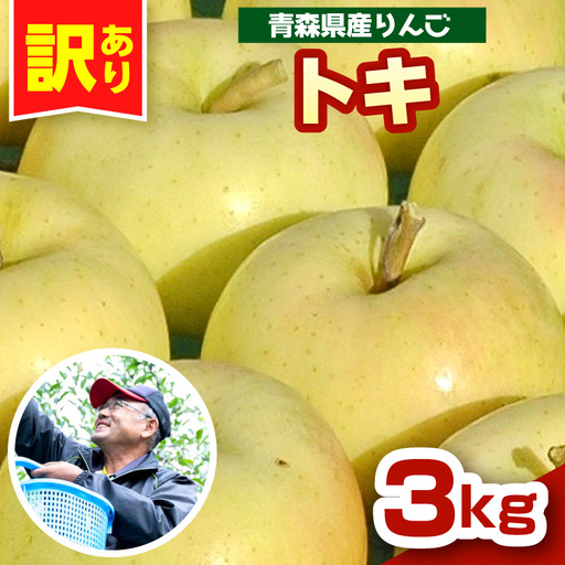 りんご トキ約3kg 訳あり 10月中旬以降発送青森県五所川原市 りんご