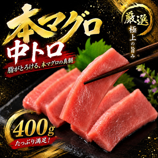 本マグロ 中トロ 400g まぐろ マグロ刺身