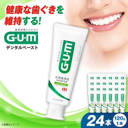 GUM デンタルペースト(ST) 120g×24本 大阪府高槻市/サンスター[AOAD078]