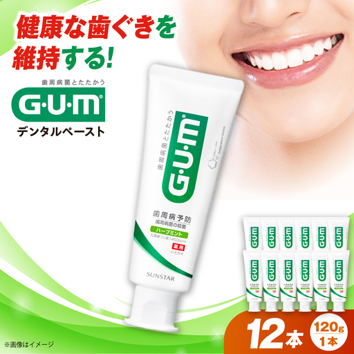 GUM デンタルペースト(ST) 120g×12本 大阪府高槻市/サンスター[AOAD079]