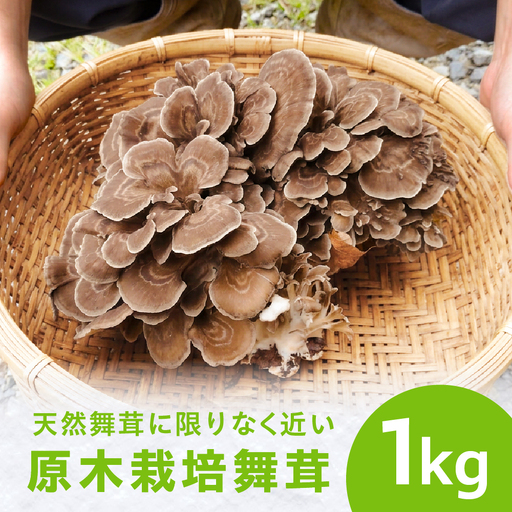 [9〜10月発送]原木栽培舞茸1kg | 舞茸 まいたけ 国産 野菜 やさい きのこ 飛騨高山 amrita農園