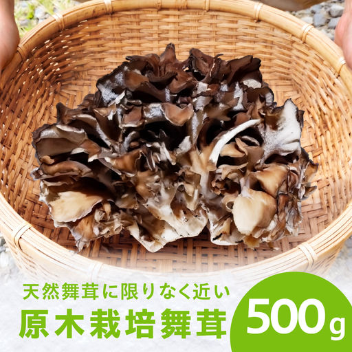 [9〜10月発送]原木栽培舞茸500g | 舞茸 まいたけ 国産 野菜 やさい きのこ amrita農園