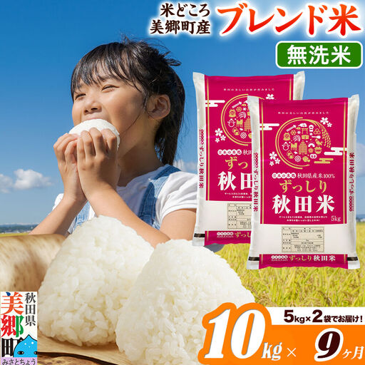 米《定期便9ヶ月》ブレンド米【無洗米】精米 10kg（5kg×2袋）秋田県美郷町産