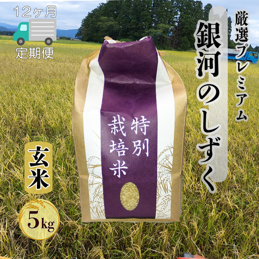【12ヶ月定期便】銀河のしずく 厳選プレミアム 玄米 5kg【2531】