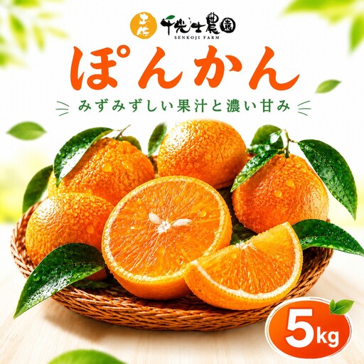家庭用ポンカン高知県産 ポンカン 5kg