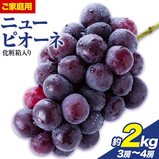 ご家庭用 フルーツ王国 岡山県産 ニューピオーネ 化粧箱入り 3房 〜 4房 2kg