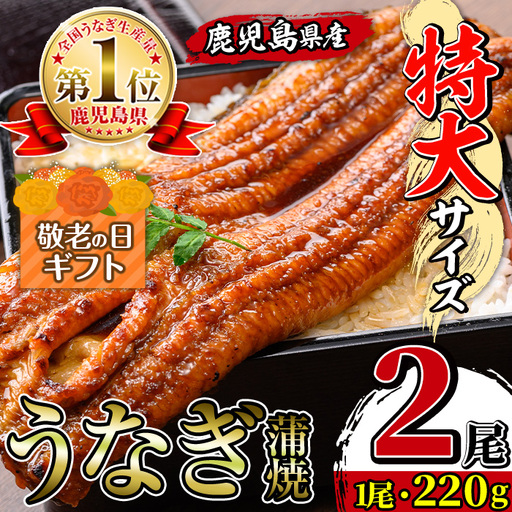 i1078-A-k [敬老の日ギフト]＼特大サイズ/鹿児島県産 うなぎ蒲焼 2尾(約220g×2・計約440g) たれ 山椒付きうなぎ 鰻 ウナギ 特大 特大サイズ 220g 蒲焼き 国産 鹿児島県産 焼きたて 生産量日本一 真空パック おかず 晩御飯 特別な日 贈答 ギフト プレゼント 敬老の日 [薩摩川内鰻]