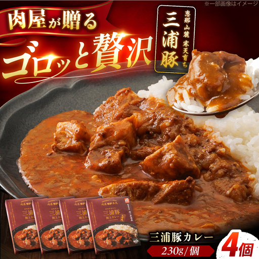 三浦豚カレー 4個セット (230g×4個) / カレー 三浦豚 レトルトカレー セット 恵那市 / 岩島屋[AUAJ057]