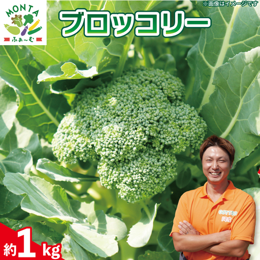 ブロッコリー 約1kg 【 ブロッコリー 】