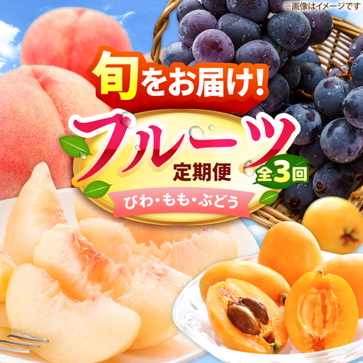 [3回定期便]フルーツ定期便(びわ/桃/ぶどう) 広川町 / JAふくおか八女農産物直売所どろや[AFAB125]