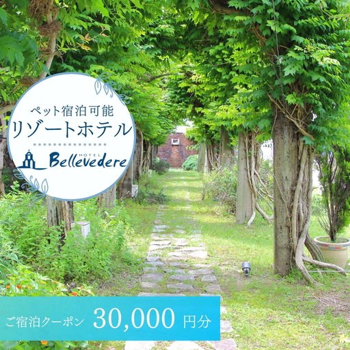 ホテルベルヴェデーレ 宿泊クーポン 30,000円分 宿泊チケット リゾートホテル 和歌山 紀南 南紀 観光【iki110】 