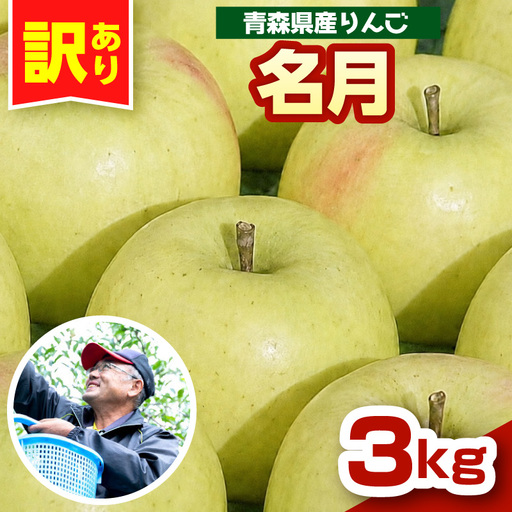 ぐんま名月 [先行受付] りんご 約3kg訳あり 青森県五所川原市 11月中旬以降発送 ぐんま名月