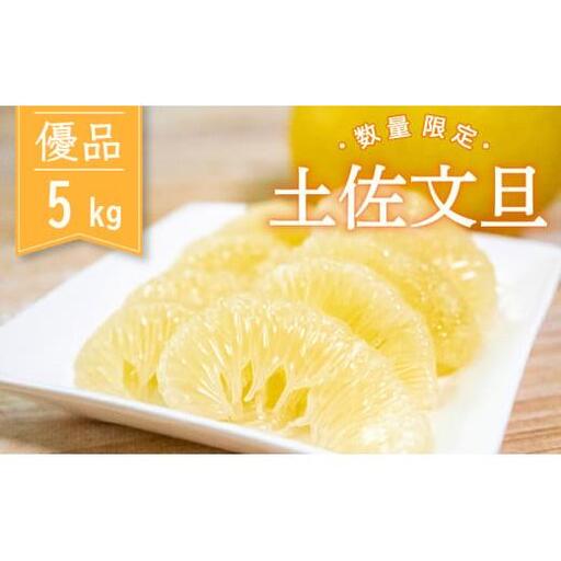 土佐文旦 優品 5kg 先行予約 2027年2月から順次発送