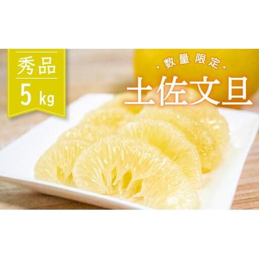 土佐文旦 秀品 5kg 先行予約 2027年2月から順次発送
