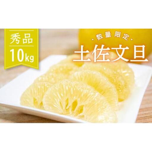 土佐文旦 秀品 10kg  高知県産 