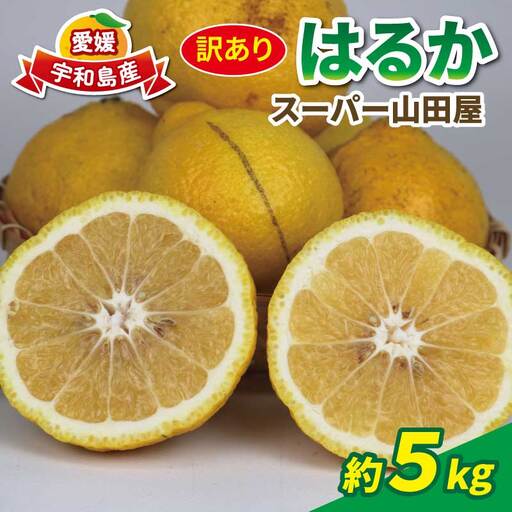 訳あり はるか 約 5kg スーパー山田屋 はるか