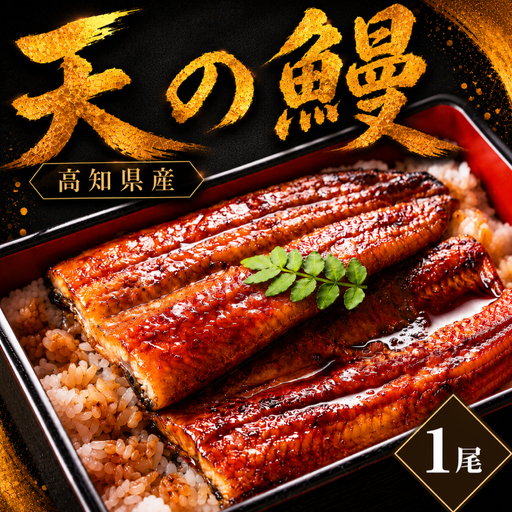 鰻 蒲焼 1尾 セット 土佐料理司