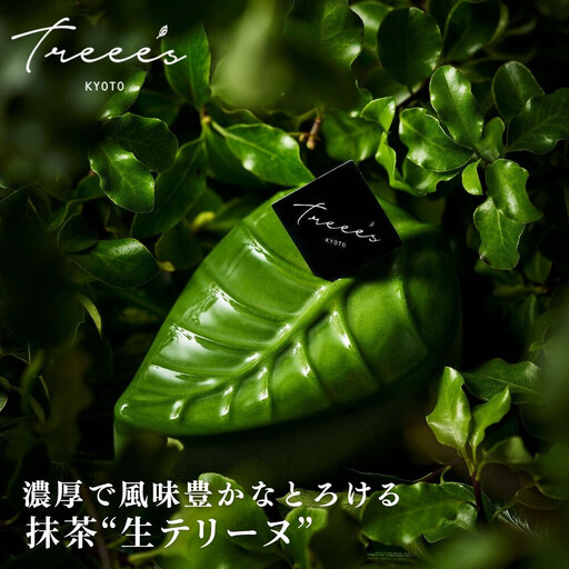 [TREEE'S]抹茶テリーフ|京都 スイーツ ブランド 人気 抹茶スイーツ