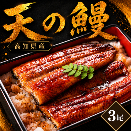鰻 蒲焼 3尾 セット 土佐料理司