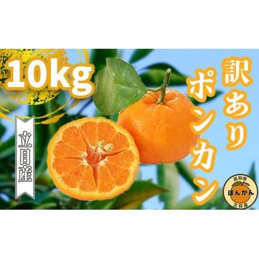 【早期予約開始】 1月中旬より順次発送 ポンカン 訳あり 10kg サイズ混合 家庭用 立目 ブランド 果物 フルーツ 冬 柑橘 2026年 収穫分 みかん 蜜柑 デザート 高知県 須崎市 TMS005