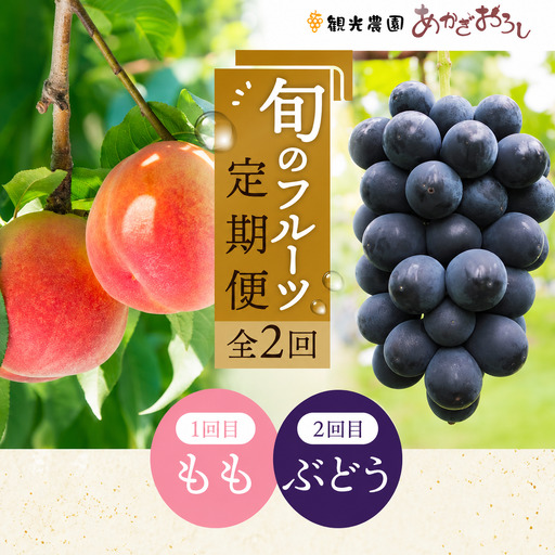 [ふるなび限定]フルーツ 食べ比べ 4kg 桃 ぶどう 定期便 フルーツ FN-Limited-WE