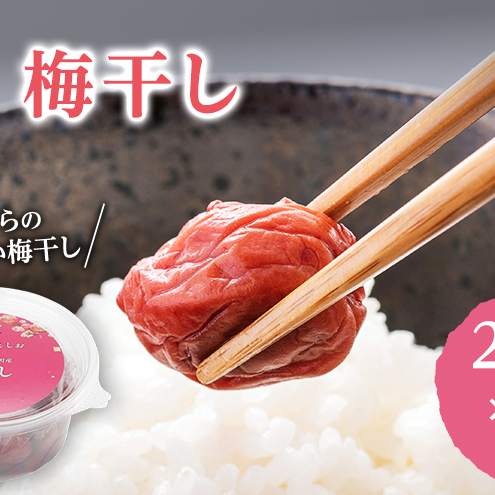 大河原産 昔ながらのすっぱいしそ梅干し 270g 5個セット ご飯のお供に 梅干し 梅干 うめぼし ウメボシ 梅 ごはんのお供 ご飯のお供 おにぎり 弁当 お弁当