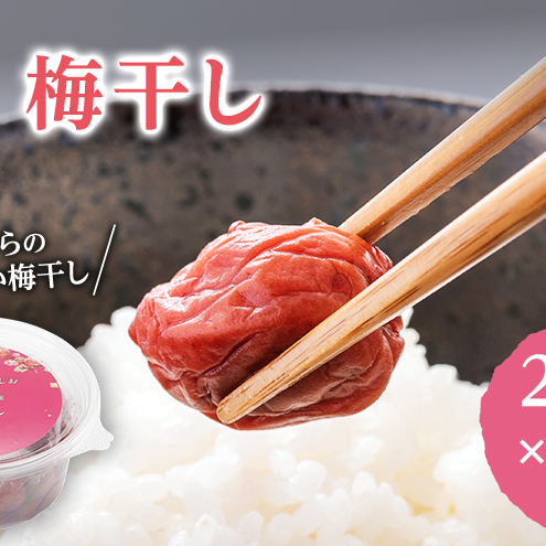 大河原産 昔ながらのすっぱいしそ梅干し 270g 20個セット ご飯のお供に 梅干し 梅干 うめぼし ウメボシ 梅 ごはんのお供 ご飯のお供 おにぎり 弁当 お弁当